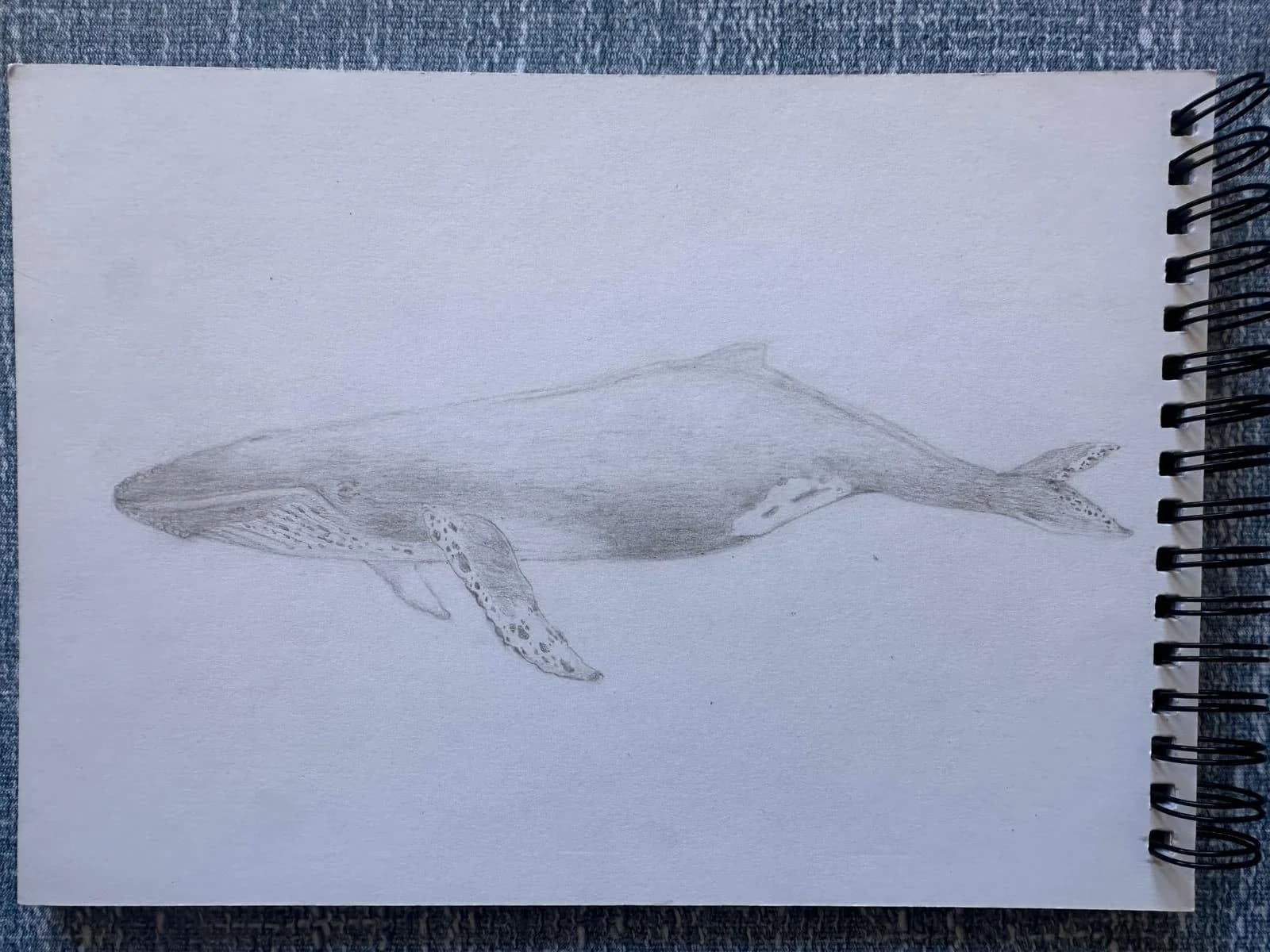 Humpback whale - Lucas Art - Original artwork by young artist Lucas