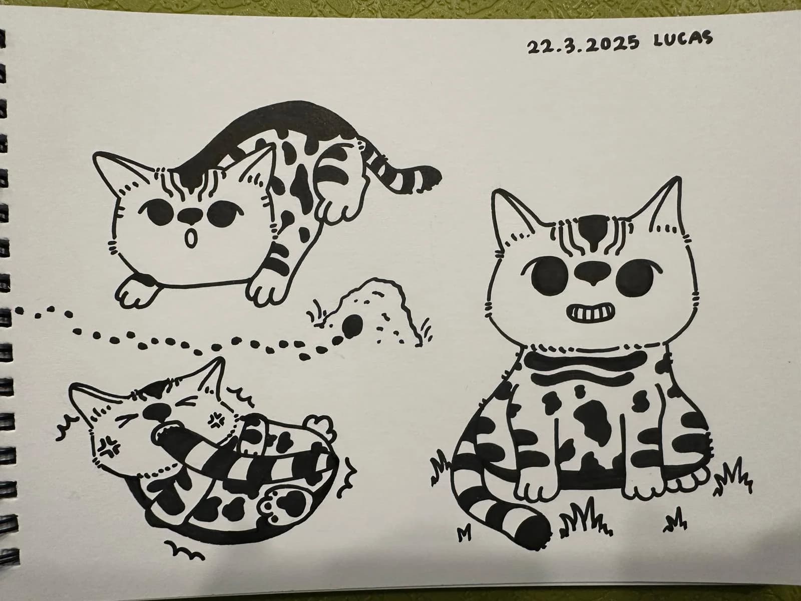 The Cat - Lucas Art - Original artwork by young artist Lucas